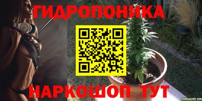 крисы Старая Купавна