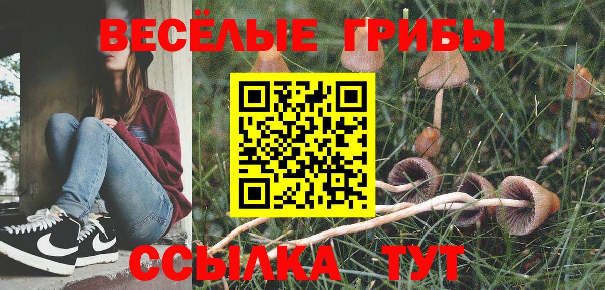 Мценск  наркошоп  Вход с VPN  Галлюциногенные грибы GOLDEN TEACHER 
