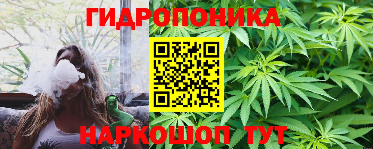 Бошки Шишки OG Kush  Конопля гибрид  Вход с VPN  Мценск 